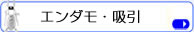 エンダモロジー 痩身マシン